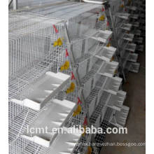 Specializing in the production of quail cage automatic feeding trough.